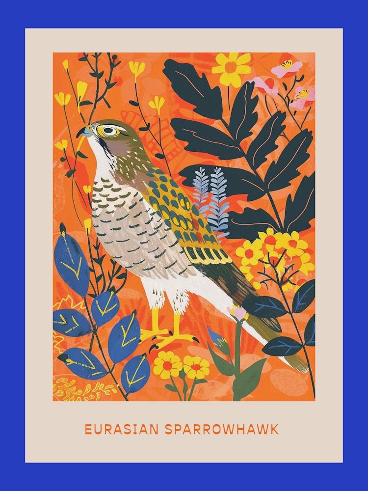 Spring Birds Poster Eurasian Sparrowhawk 2