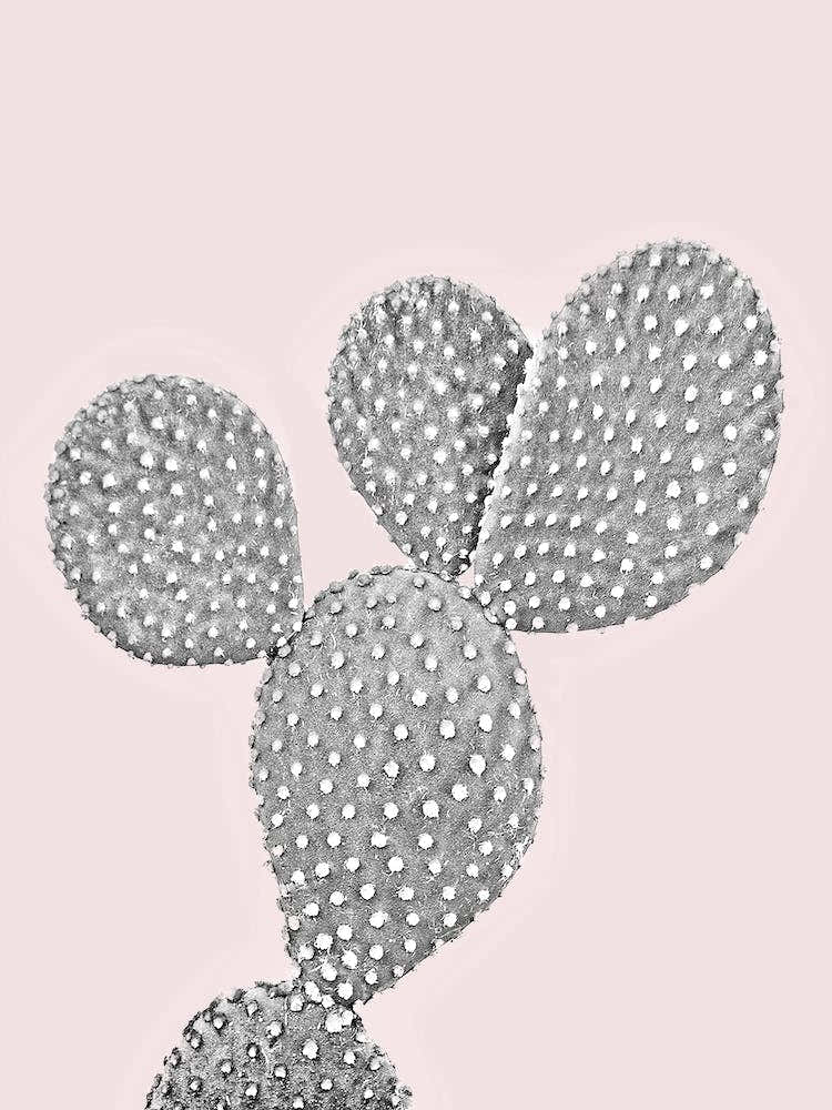 Cactus Pink