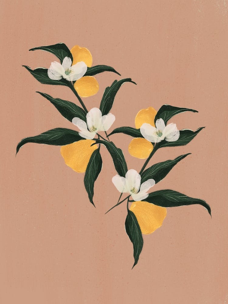Lemons