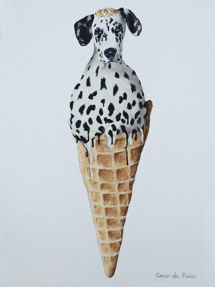 Icecream Dalmatian