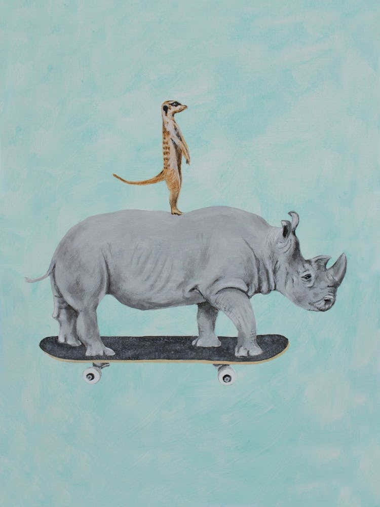 Rhinoceros And Meerkat Skateboarding