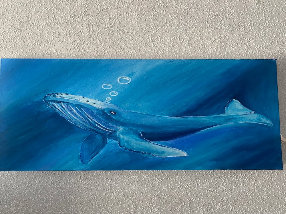 Humpback Whale