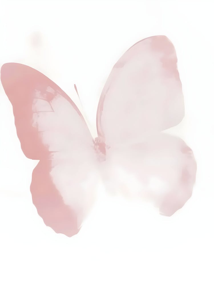 Pink Butterfly 1