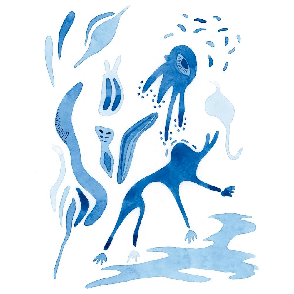 The Cohabitants Square