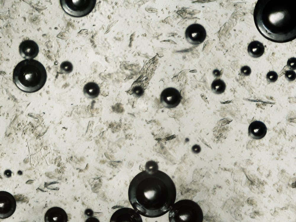 Water Bubbles Under The Microscope 3