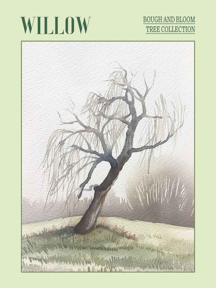 Willow Tree Atmospheric Watercolour Painting 1 Poster