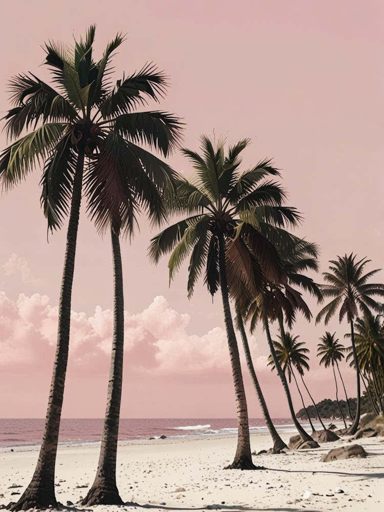 Palm Trees On The Beach 2