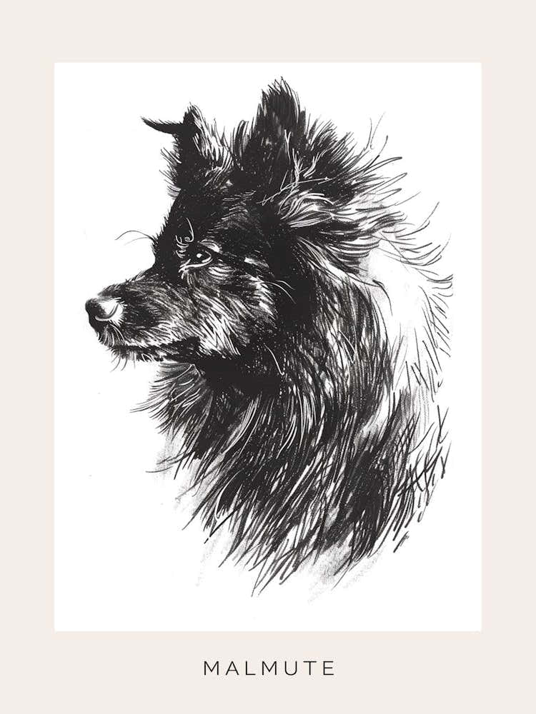 Malmute Furry Dog Line Sketch 3 Poster