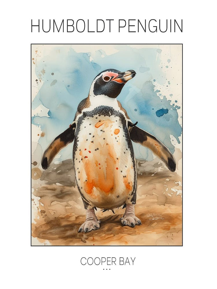 Humboldt Penguin Cooper Bay Watercolour Painting 1 Poster