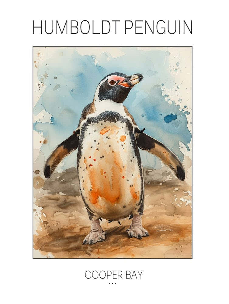 Humboldt Penguin Cooper Bay Watercolour Painting 1 Poster