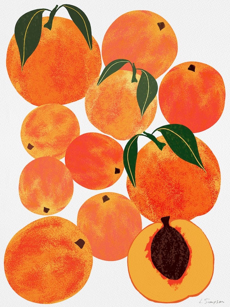 Peach Harvest