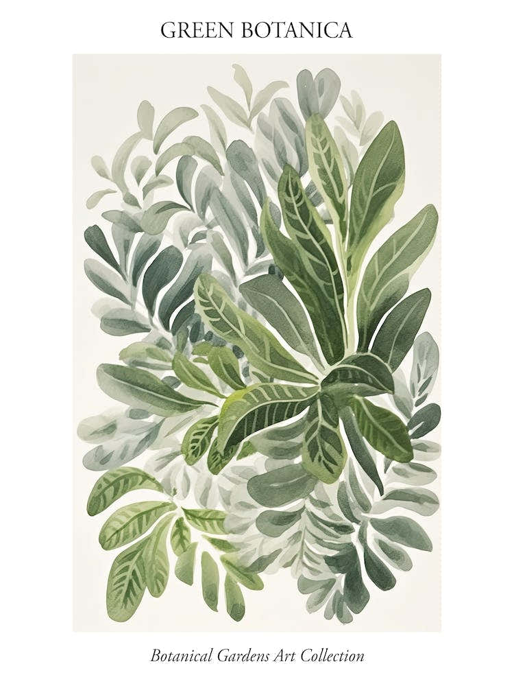 Green Botanica Collection 2