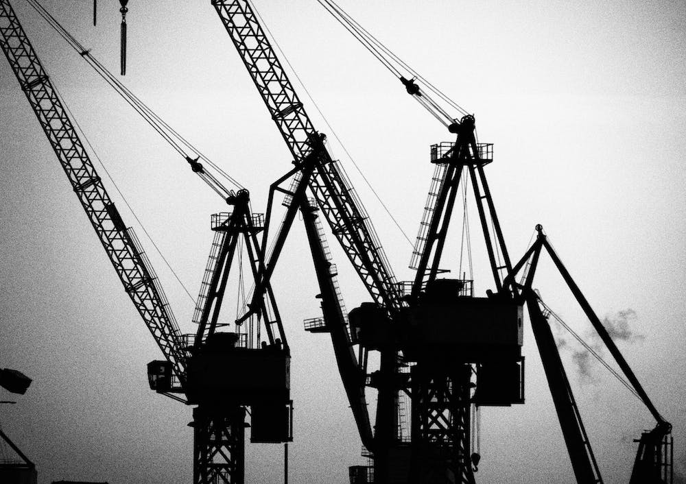 Harbour Giraffes 9