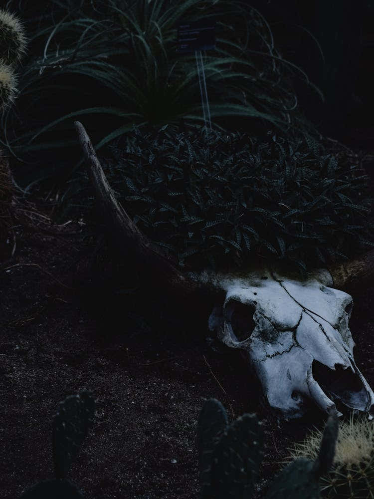 Whoever knows, whoever saw