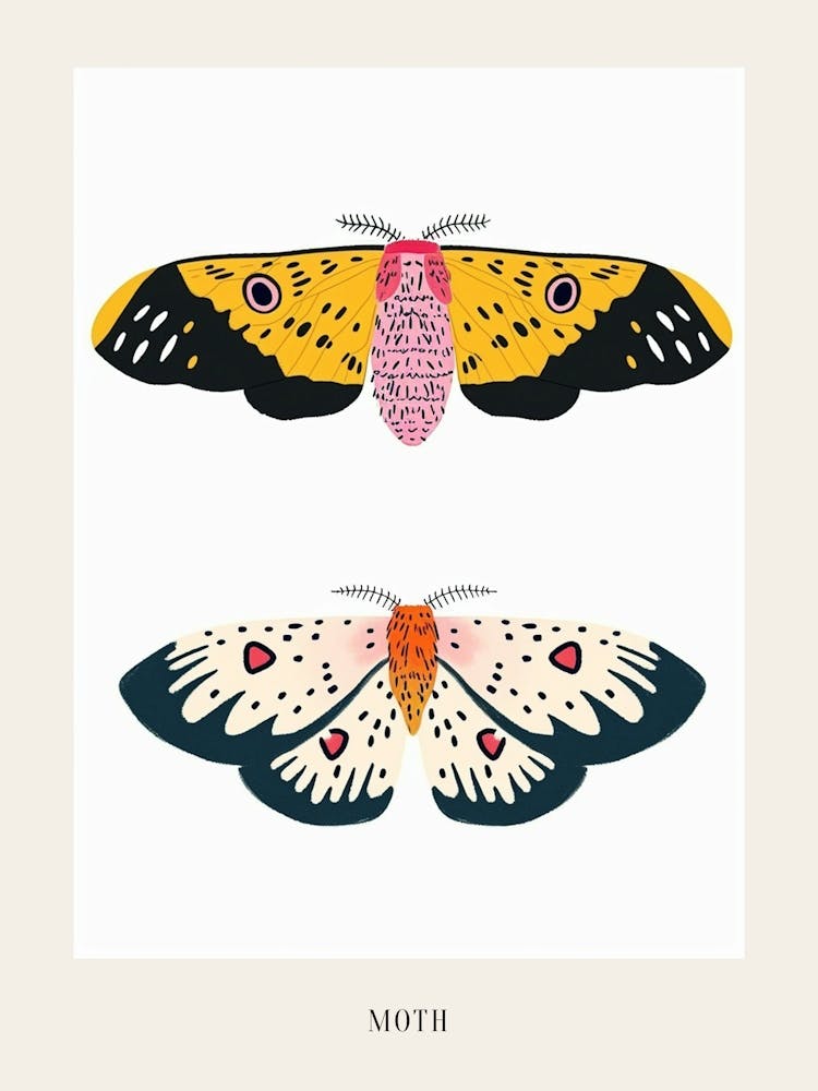 Colourful Insect Illustration Moth 4 Poster