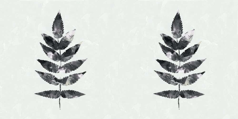 Black White Botanical Watercolour Leave