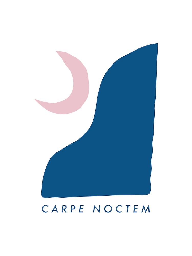 Carpe Noctem