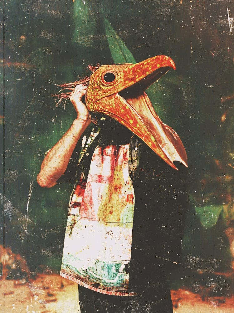 Bird Mask