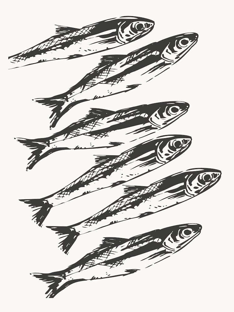 Sardines 9