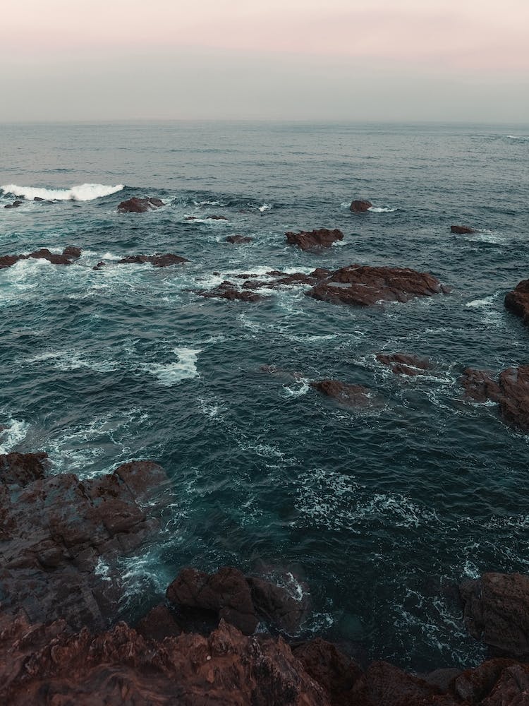 Wild Ocean