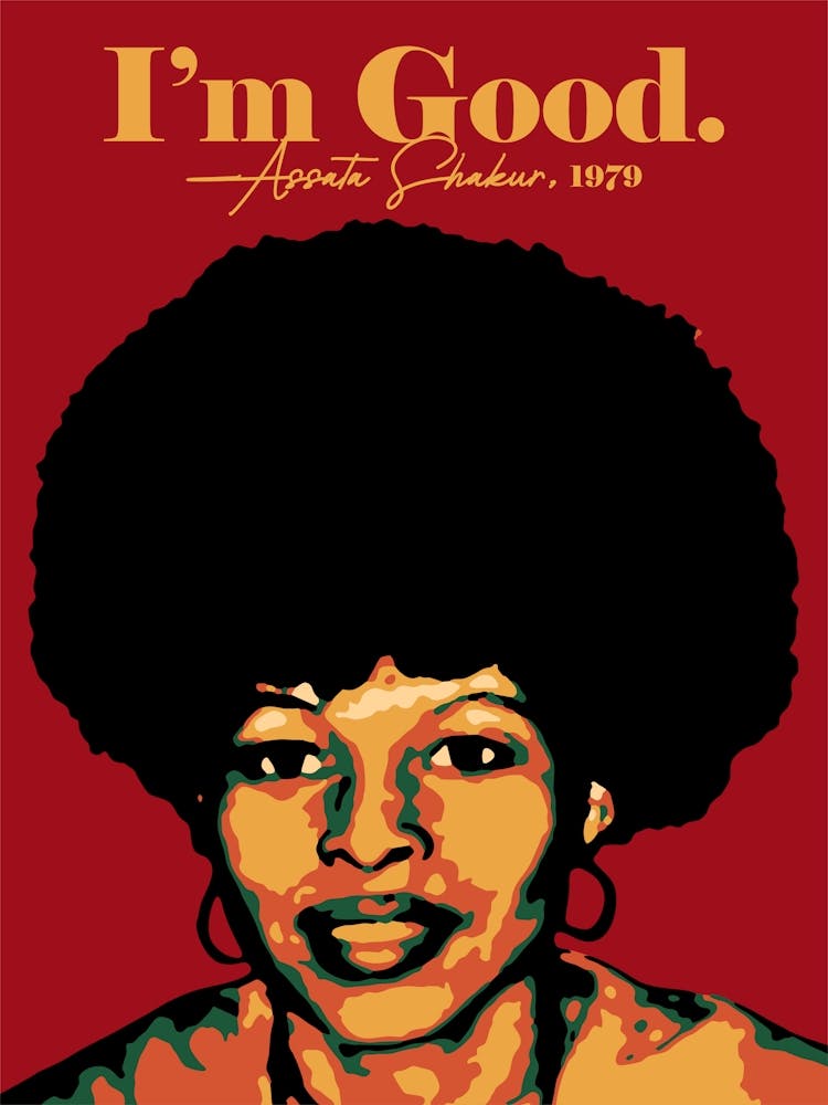 Assata Shakur I am Good Black History Colorful Art