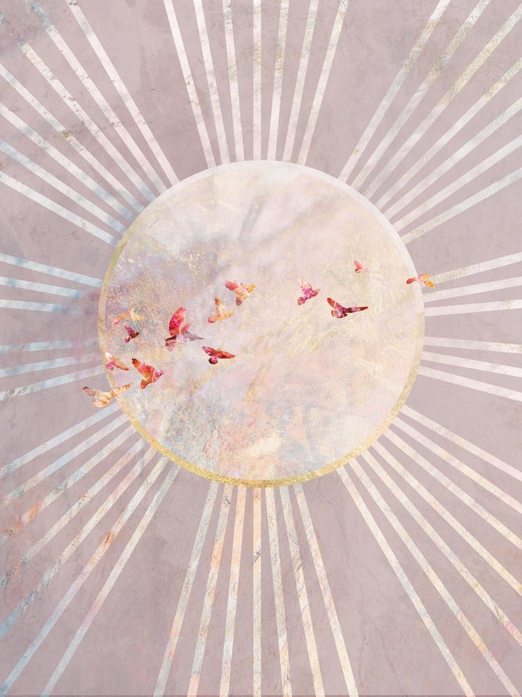 Birds In The Sky with sun 1