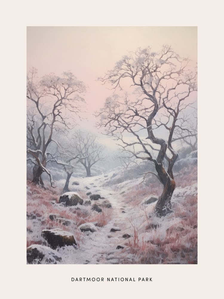 Dreamy Winter National Park Poster  Dartmoor National Park England 2