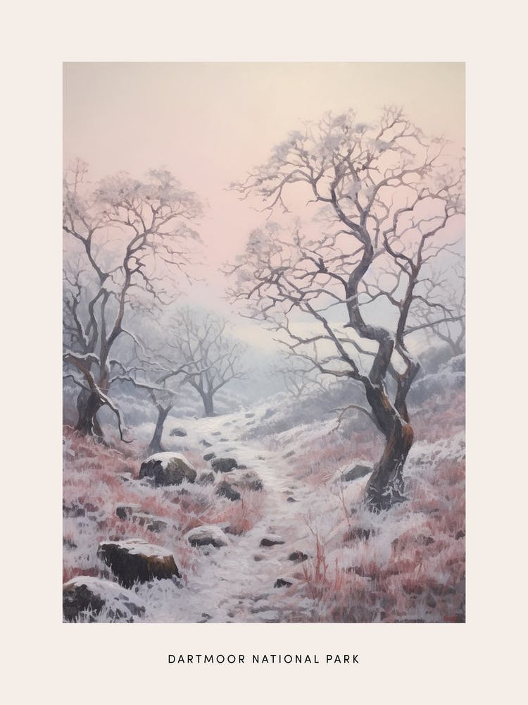 Dreamy Winter National Park Poster  Dartmoor National Park England 2