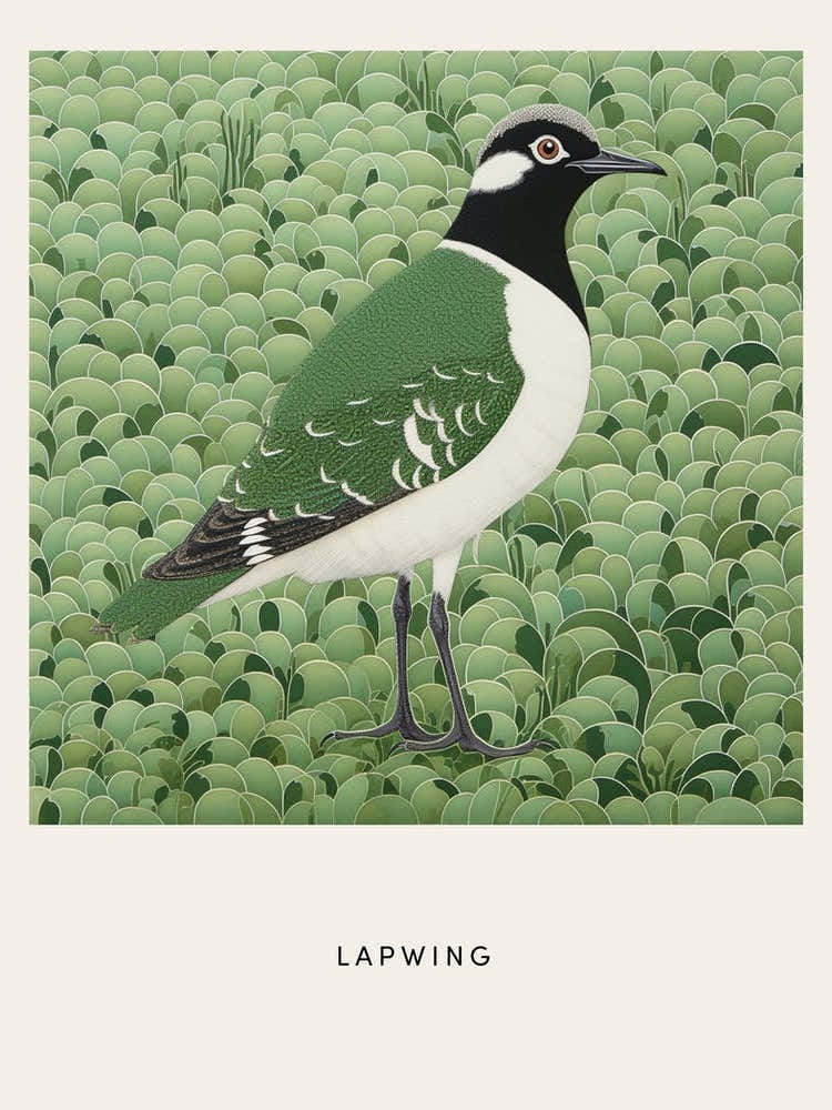Ohara Koson Inspired Bird Painting Lapwing 2 Poster