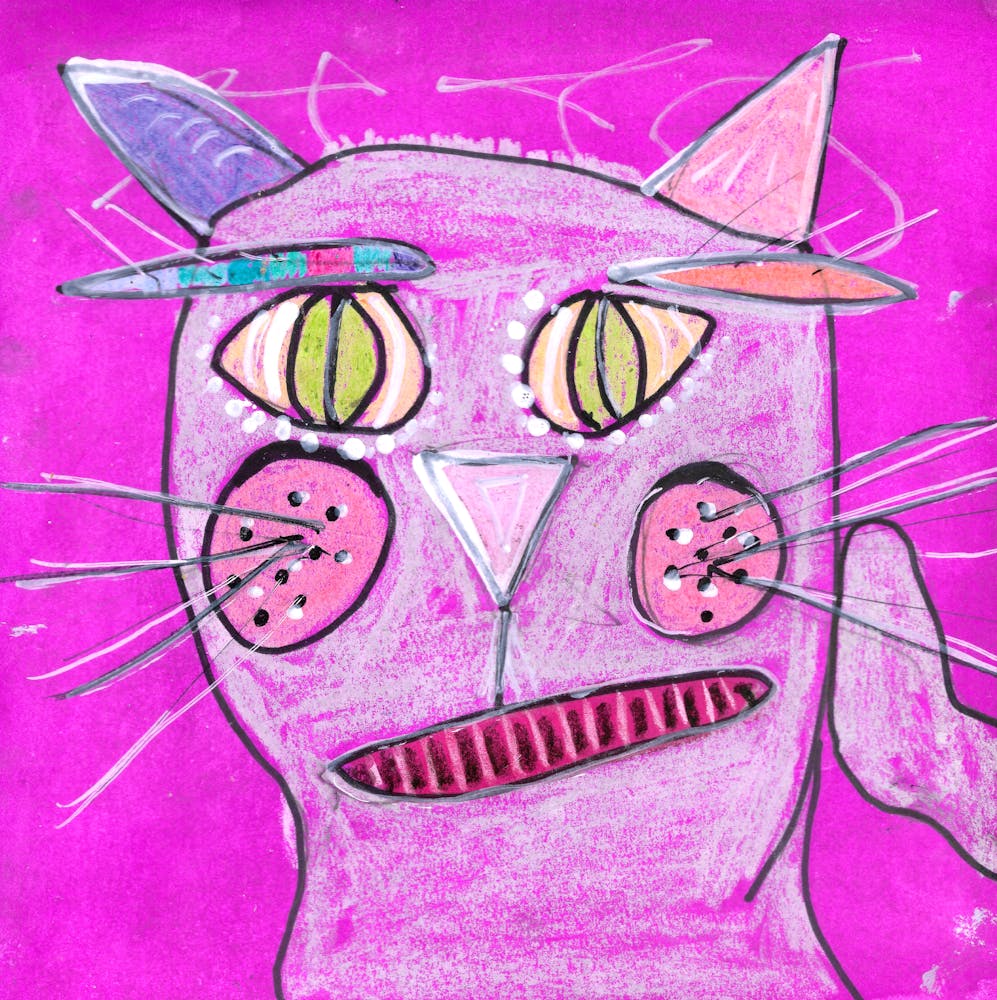 Pink Cat 1