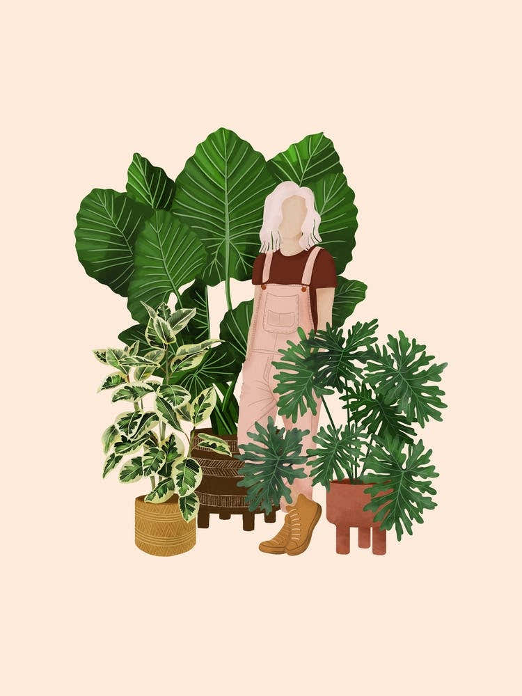Plant Friends 3