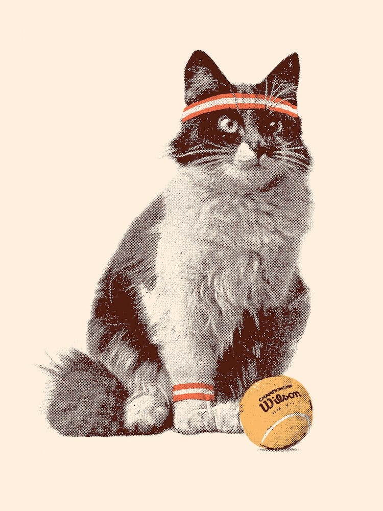 Cat Tennis Beige & Brown