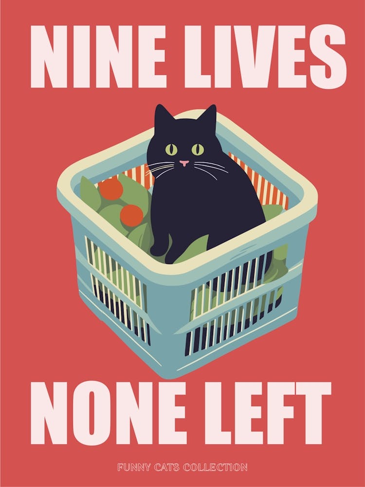 Nine Lives None Left Funny Cat In A Basket