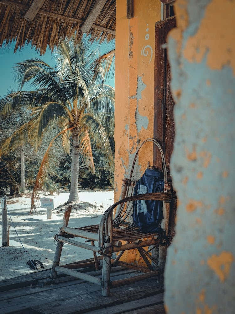 Palms And Chair On Isla Holbox Mexico