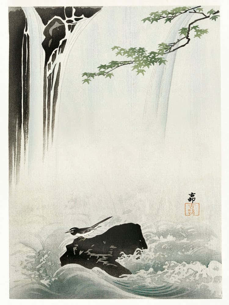 Japanese Wagtail At Waterfall (1900 1930), Ohara Koson