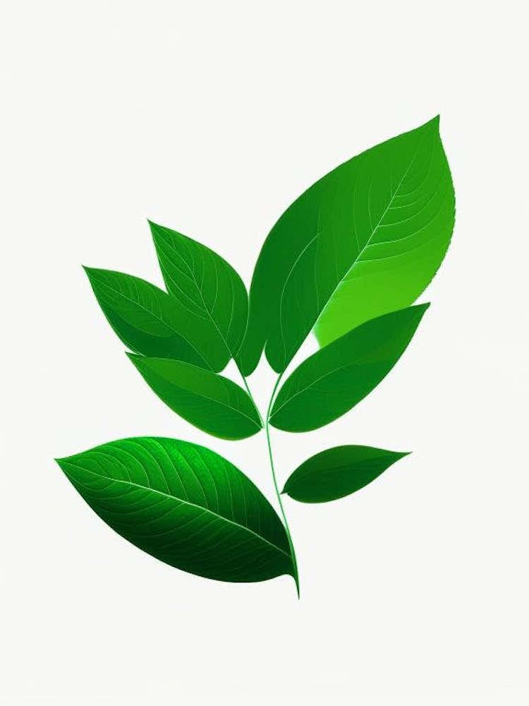 Stevia Leaf Vibrant Inspired 2