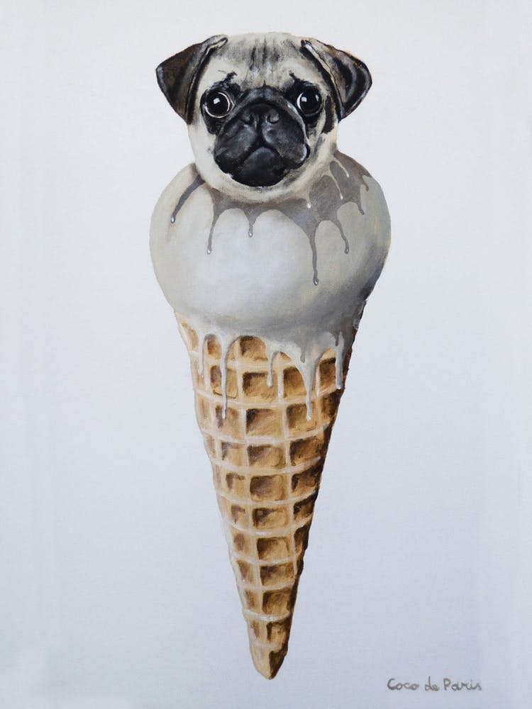 Icecream Pug