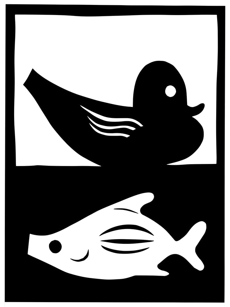 Duck And Fish