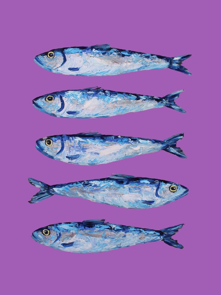 Sardines On Purple