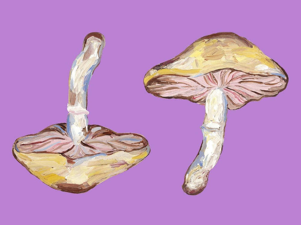 Mushrooms