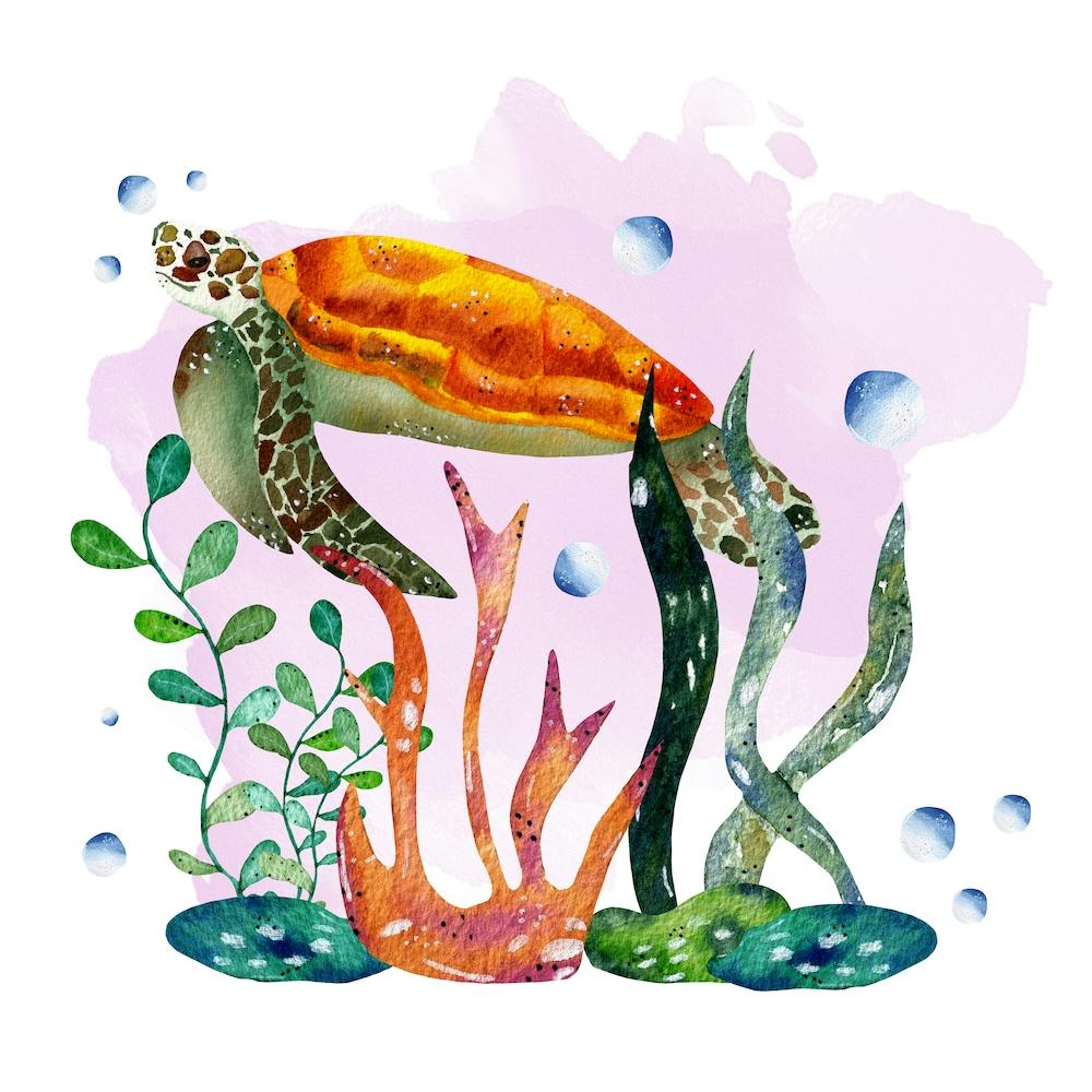 Watercolor Sea Turtle Square