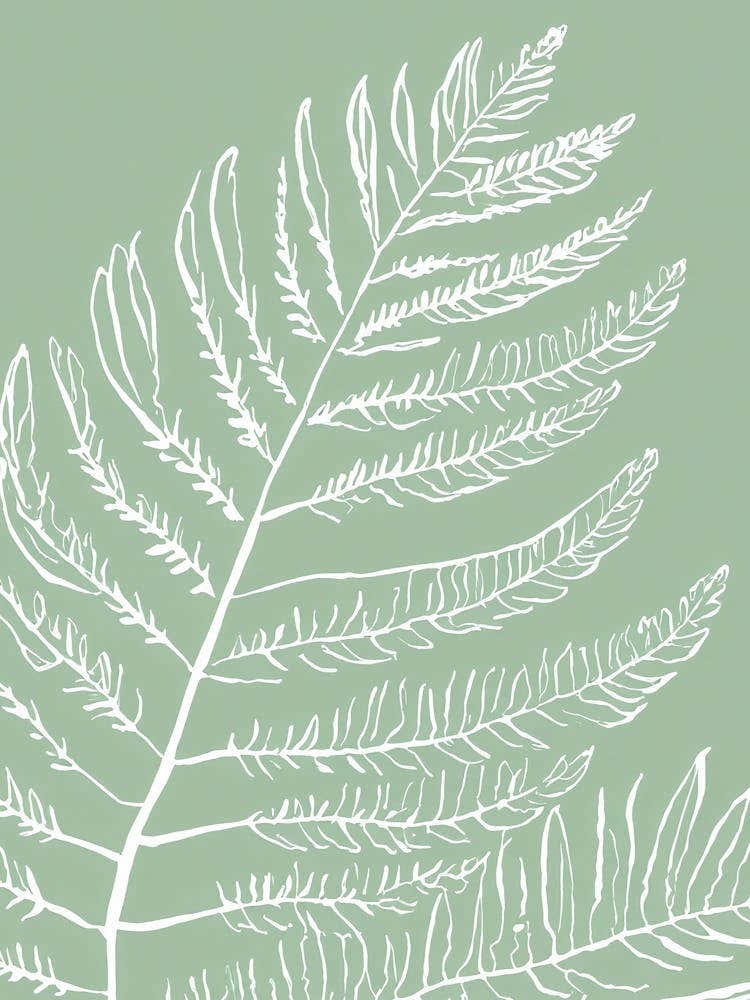 Fern Leaf Line