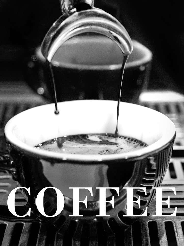 Coffee Barista Black and White_2365346