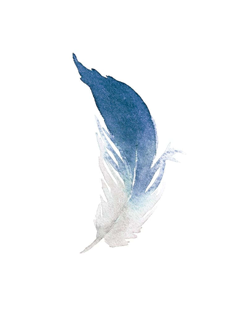 Watercolor illustration 'Blue Feather' No 105B