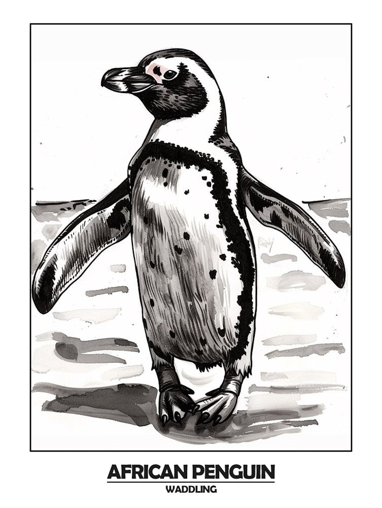 Penguin Waddling Poster 1