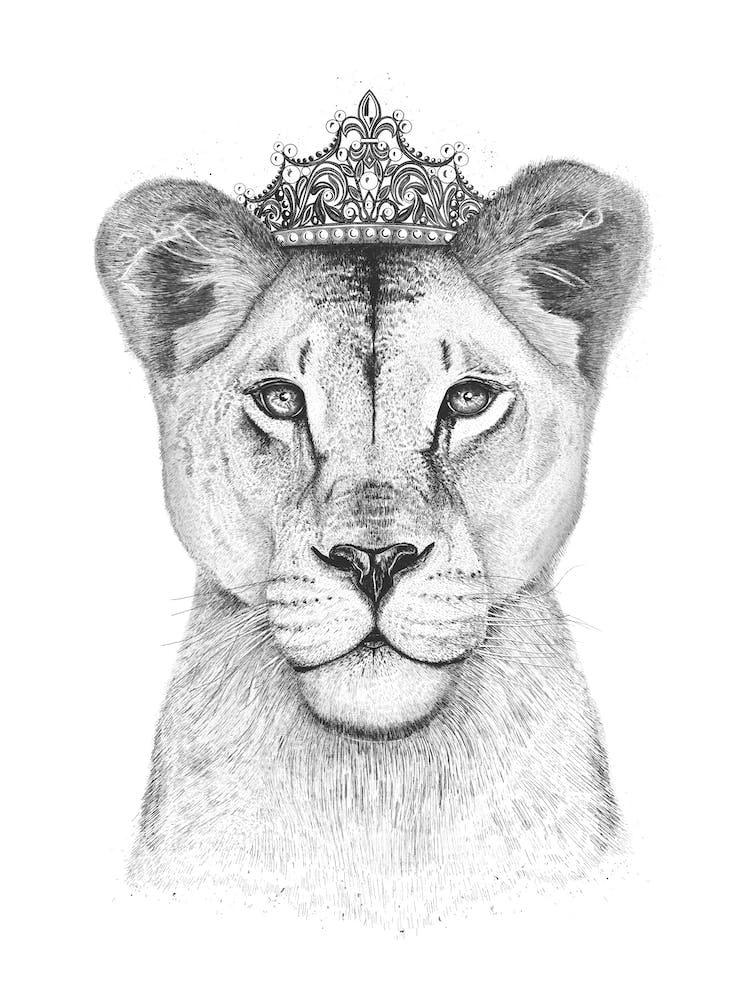 The Lioness Queen