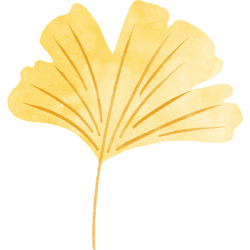 Ginkgo Leaf 6