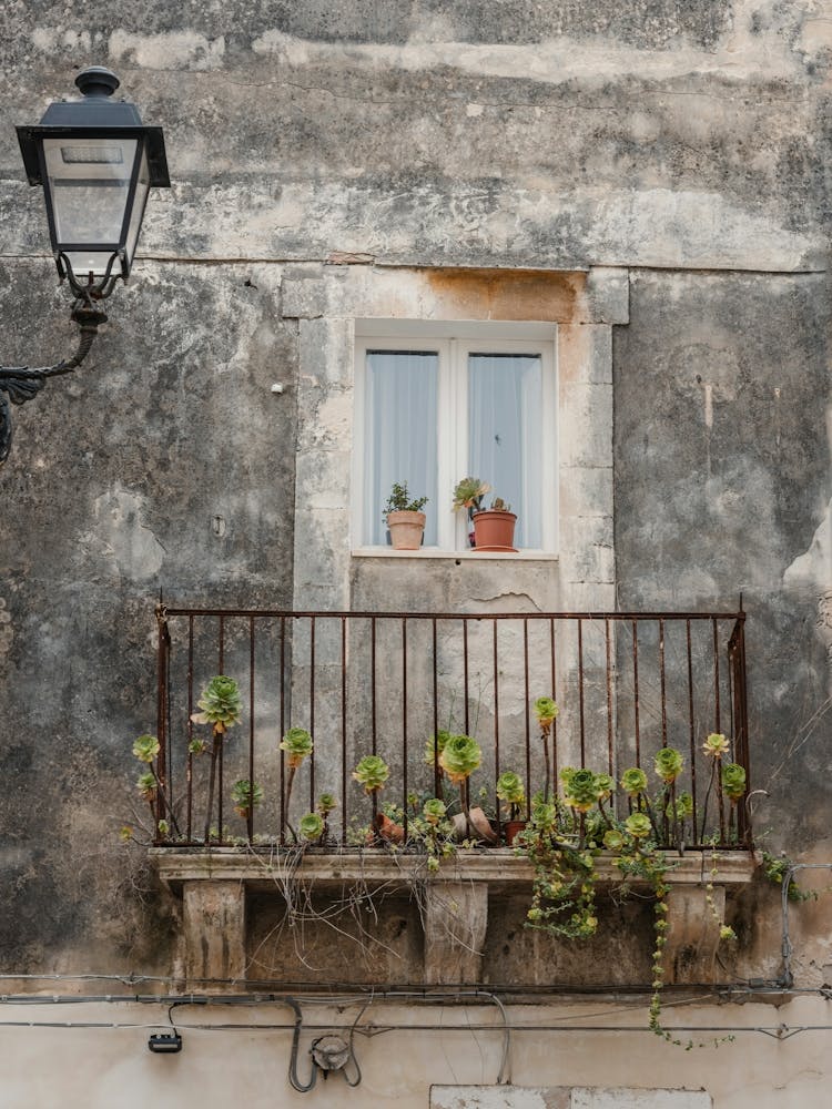Balcony With Potted Plants, Italy