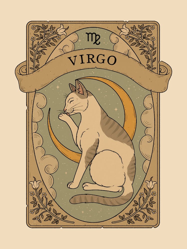 Cats Astrology Virgo