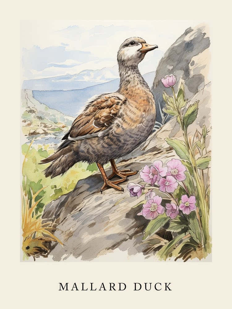 Beatrix Potter Inspired  Animal Watercolour Mallard Duck 3